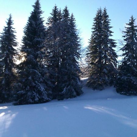 Chalet Daria Prémanon المظهر الخارجي الصورة