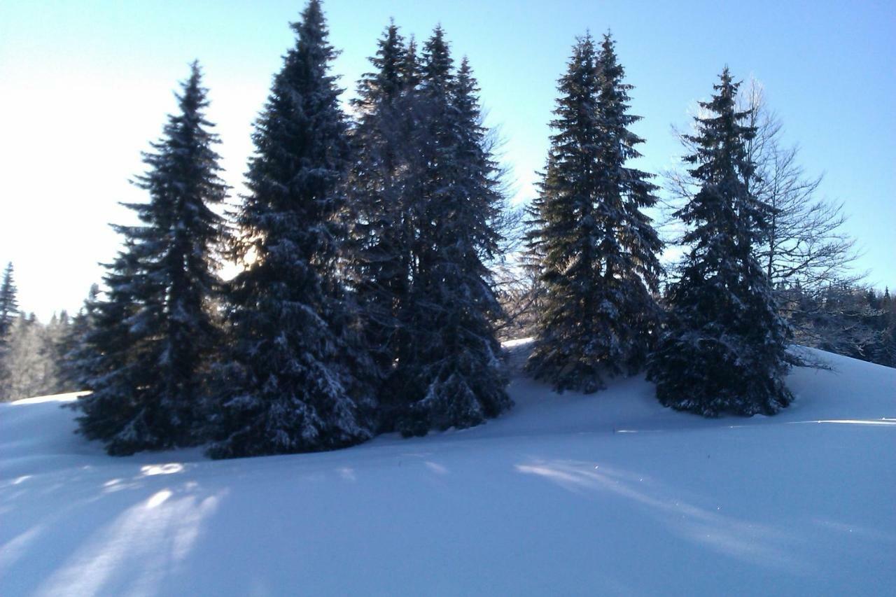 Chalet Daria Prémanon المظهر الخارجي الصورة