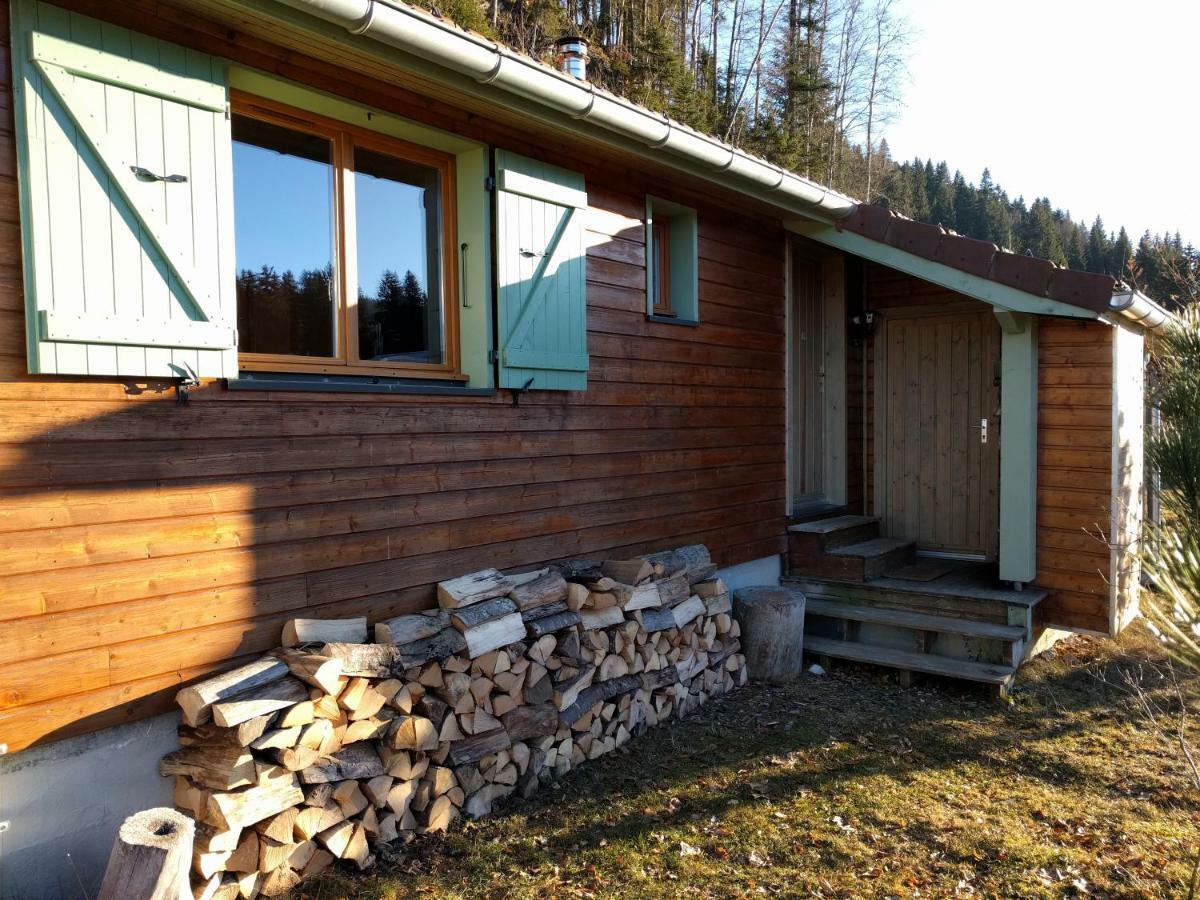 Chalet Daria Prémanon المظهر الخارجي الصورة