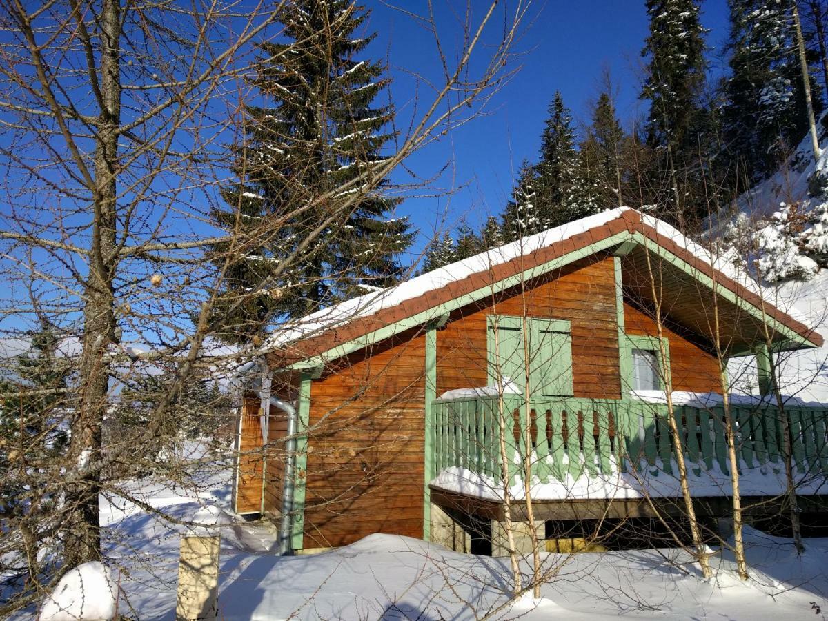 Chalet Daria Prémanon المظهر الخارجي الصورة
