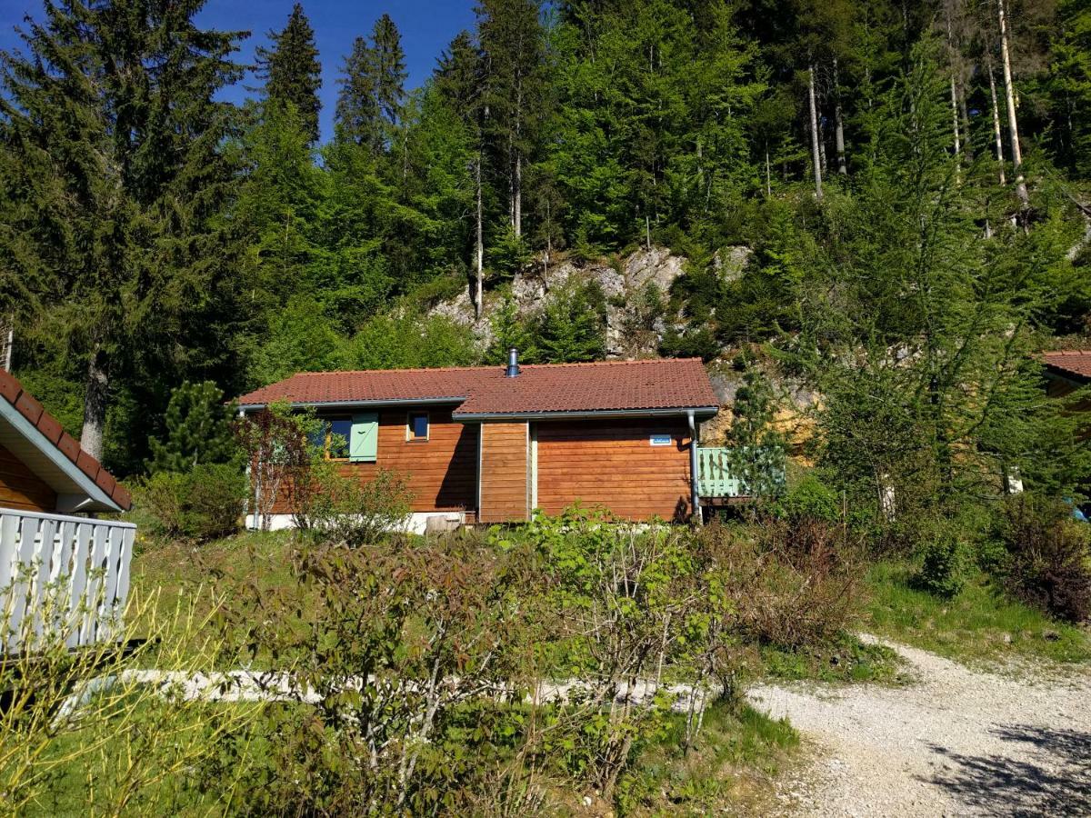 Chalet Daria Prémanon المظهر الخارجي الصورة