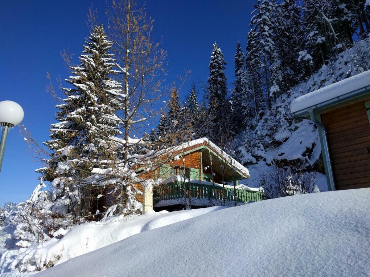 Chalet Daria Prémanon المظهر الخارجي الصورة