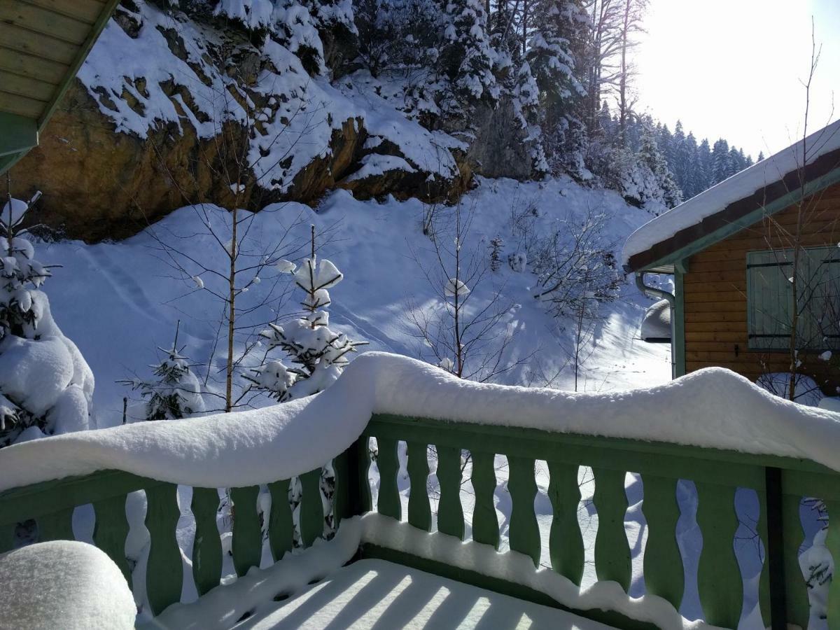 Chalet Daria Prémanon المظهر الخارجي الصورة